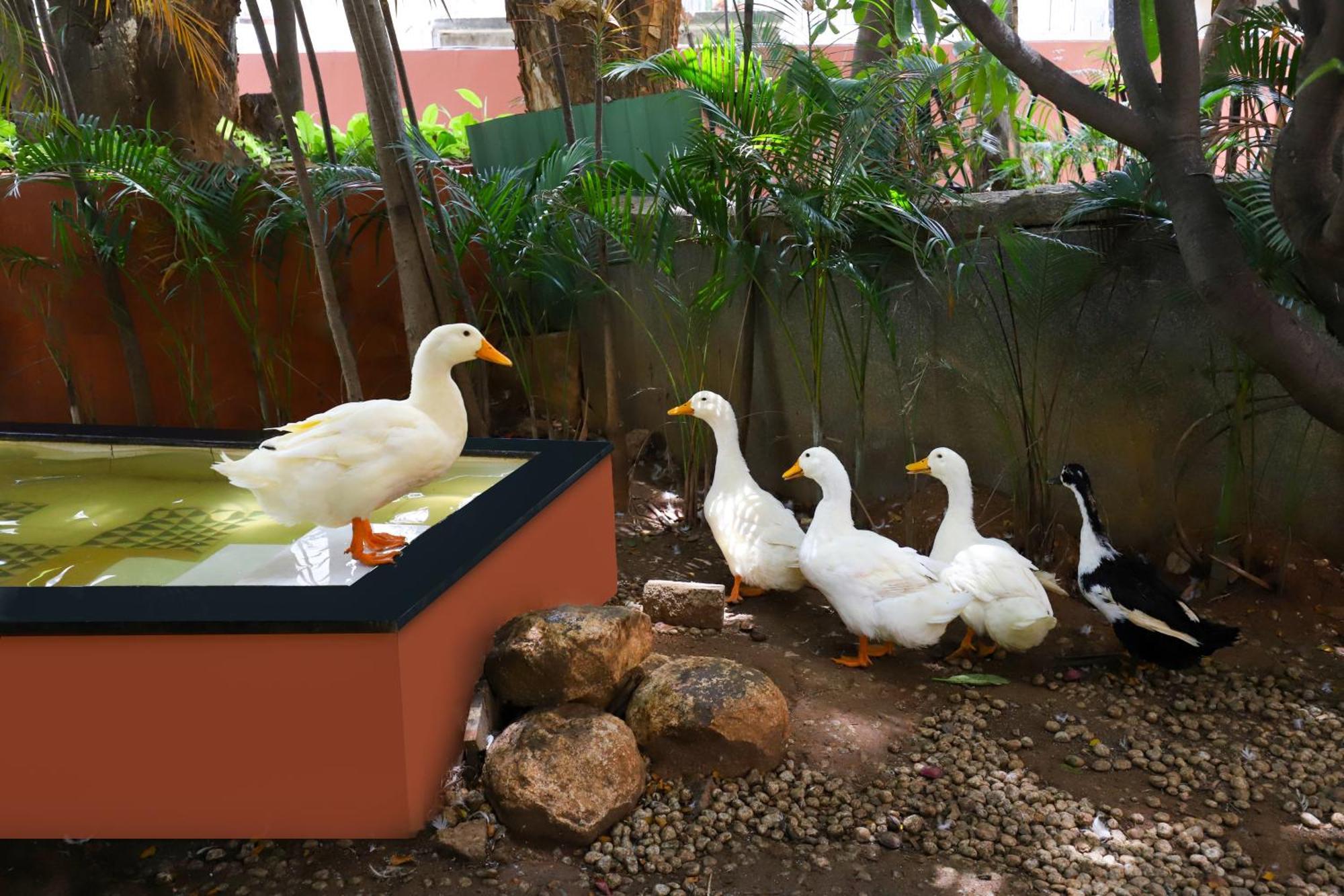 Lemon Tree Suites, Whitefield, Bengaluru Luaran gambar