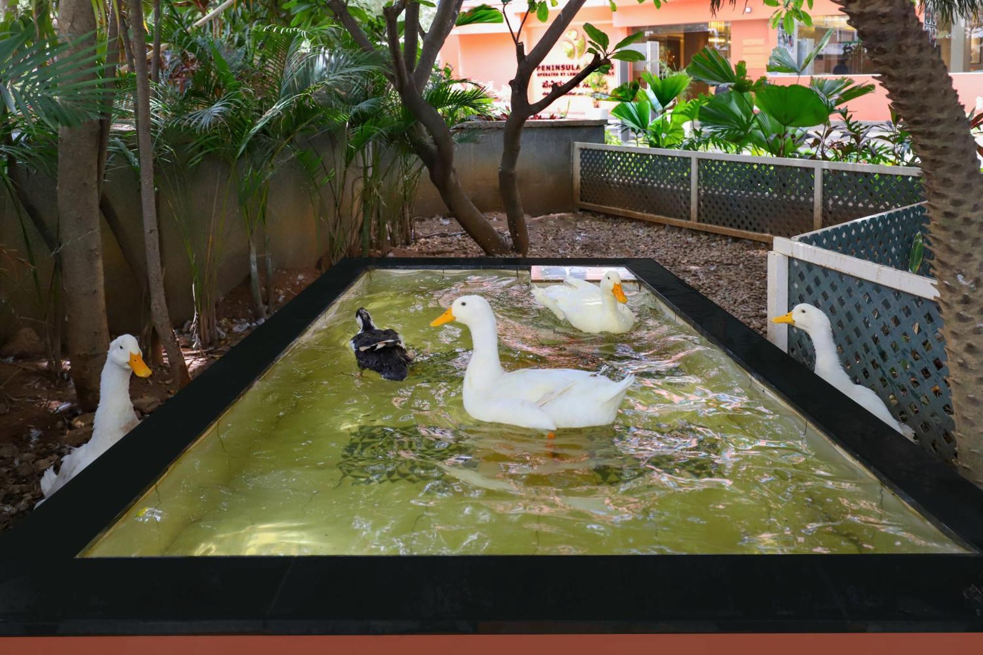 Lemon Tree Suites, Whitefield, Bengaluru Luaran gambar
